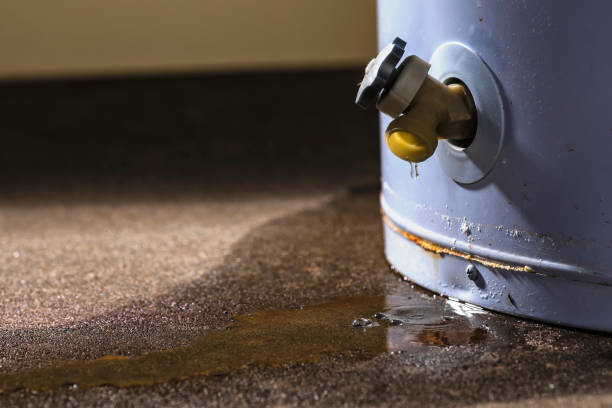 Best Residential water damage restoration  in Holbrook, NY