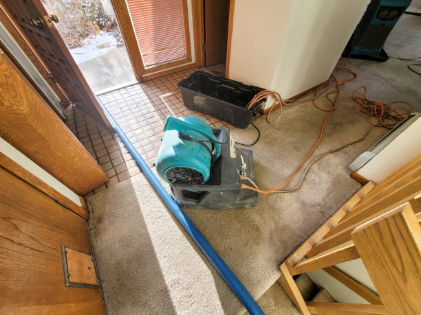 Best Flood restoration services  in Holbrook, NY