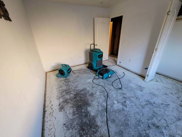  Holbrook, NY Water damage restoration Pros