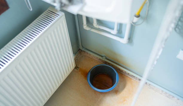 Best Ceiling water damage repair  in Holbrook, NY