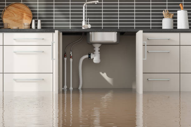 Best Water damage restoration near me  in Holbrook, NY