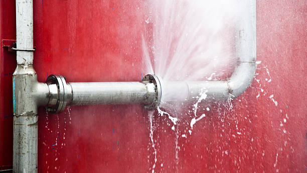 Best Carpet water damage restoration  in Holbrook, NY